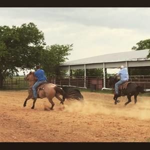 Meet your Posher, Garret